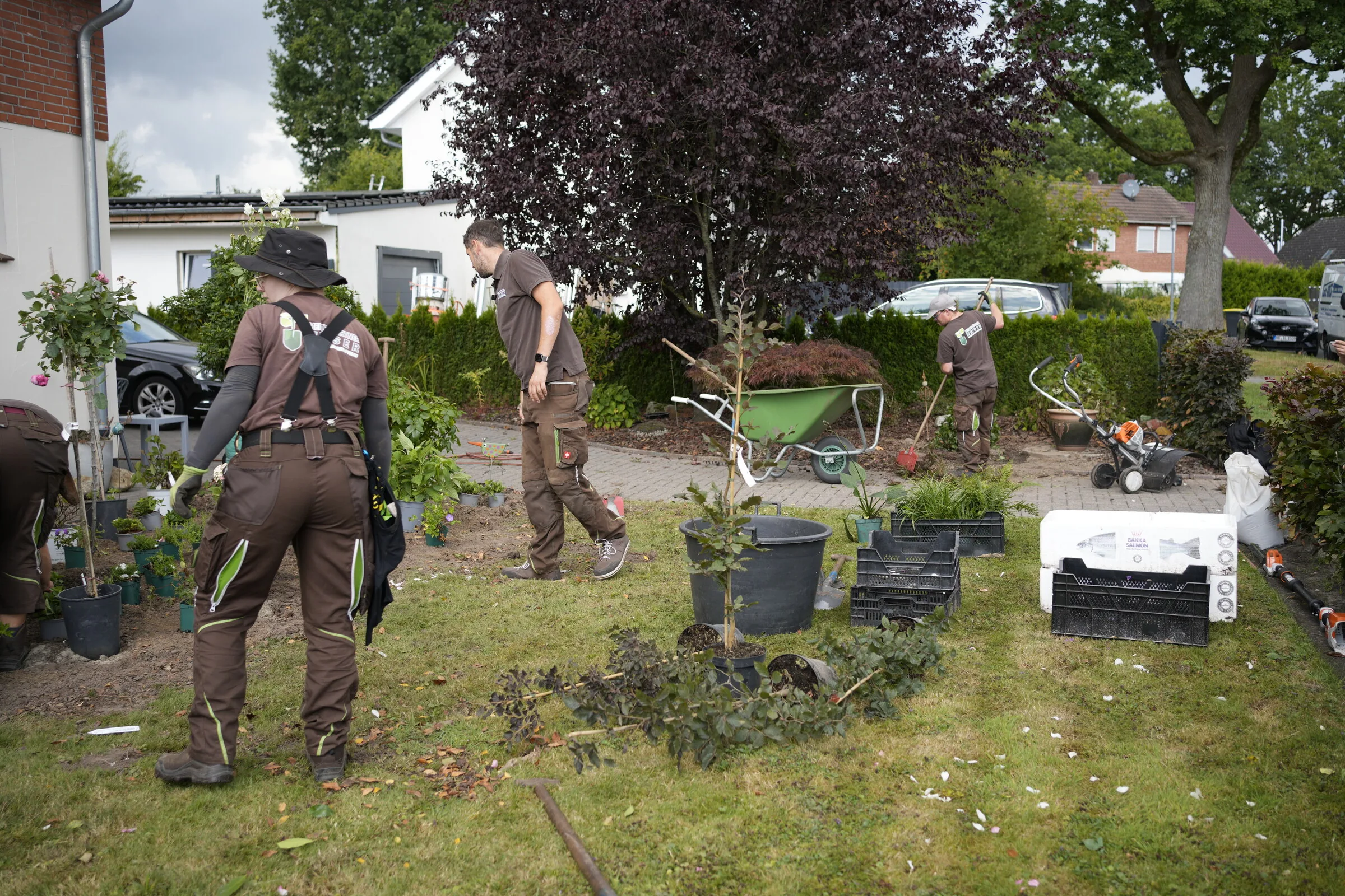 Drei Mitarbeiter von Meistergärtner Meiser bei der Gartenpflege in einem Vorgarten in Oldenburg