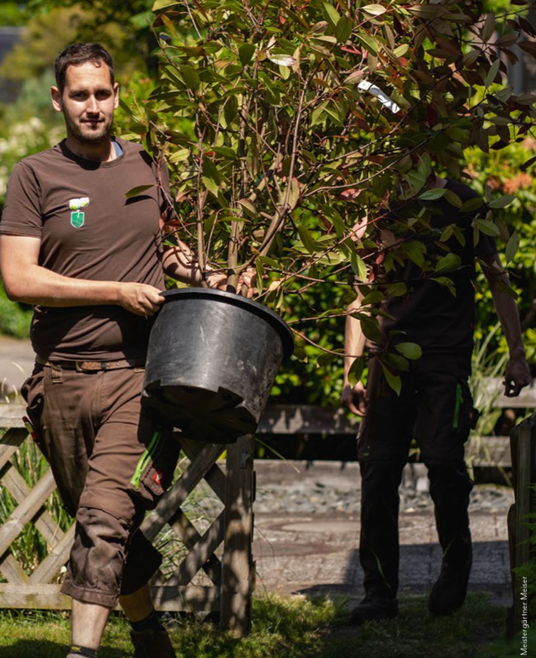 Eric Herrmann-Meiser trägt ein Gehölz im Pflanzcontainer durch einen Garten