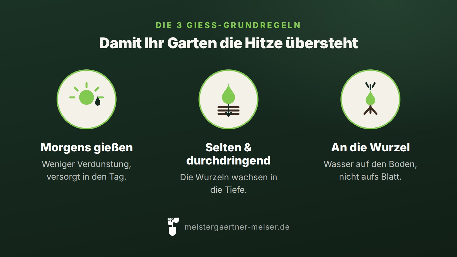Infografik: Die 3 Gieß-Grundregeln – morgens gießen, selten und durchdringend wässern, an die Wurzel statt aufs Blatt
