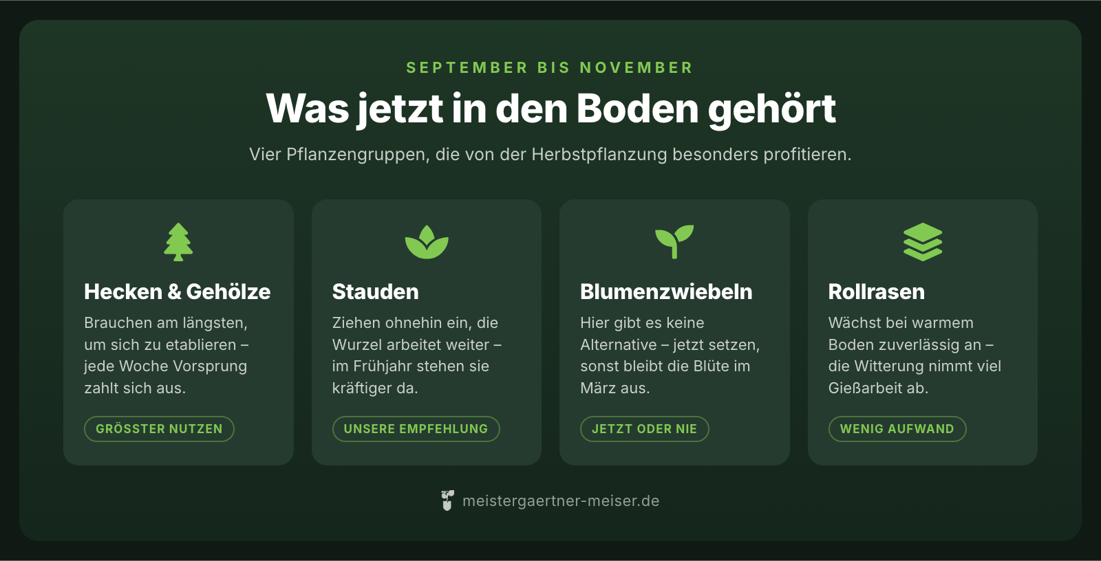 Vier Pflanzengruppen für die Herbstpflanzung: Hecken und Gehölze, Stauden, Blumenzwiebeln und Rollrasen, jeweils mit dem Grund, warum sich der Herbst lohnt.