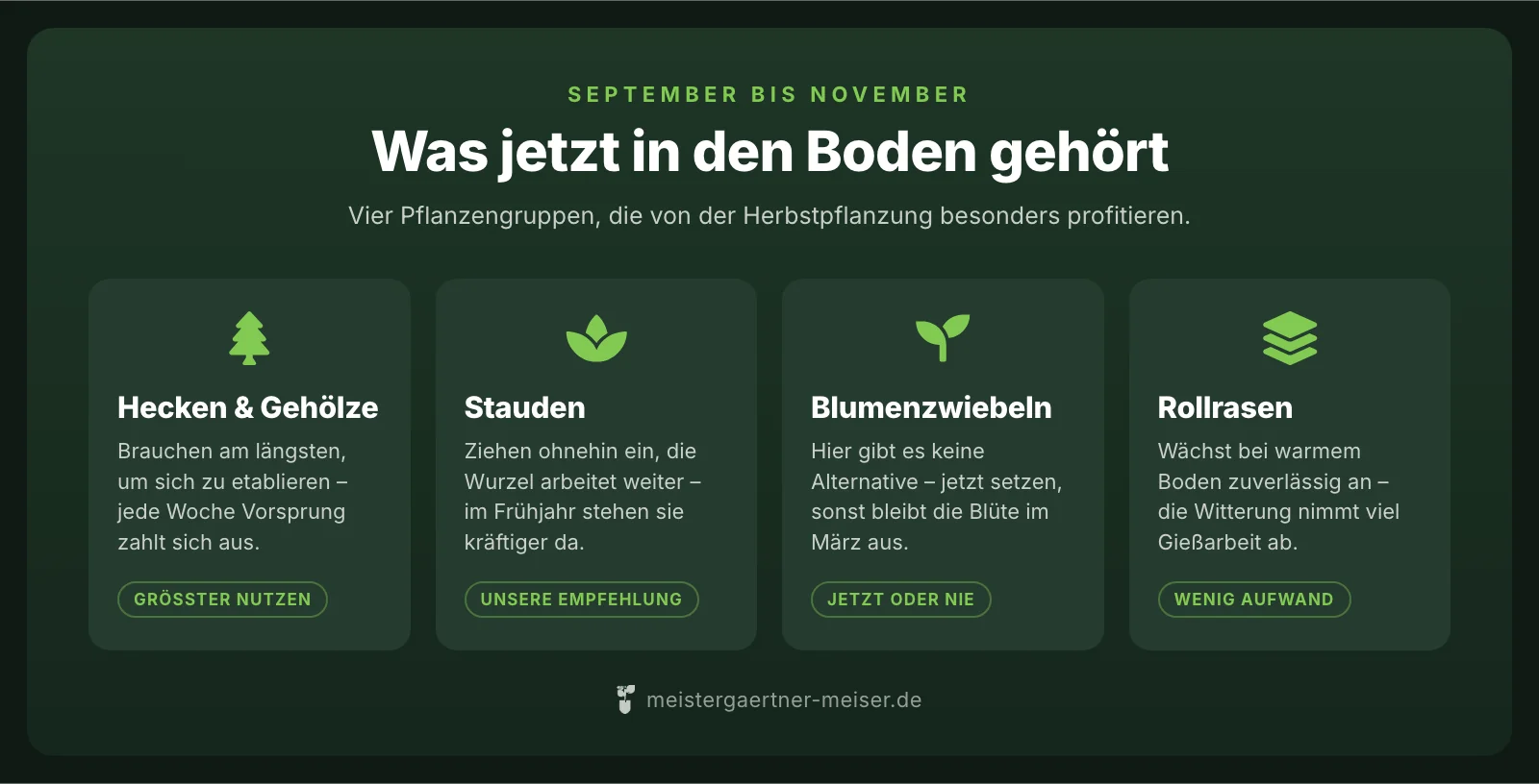Vier Pflanzengruppen für die Herbstpflanzung: Hecken und Gehölze, Stauden, Blumenzwiebeln und Rollrasen, jeweils mit dem Grund, warum sich der Herbst lohnt.