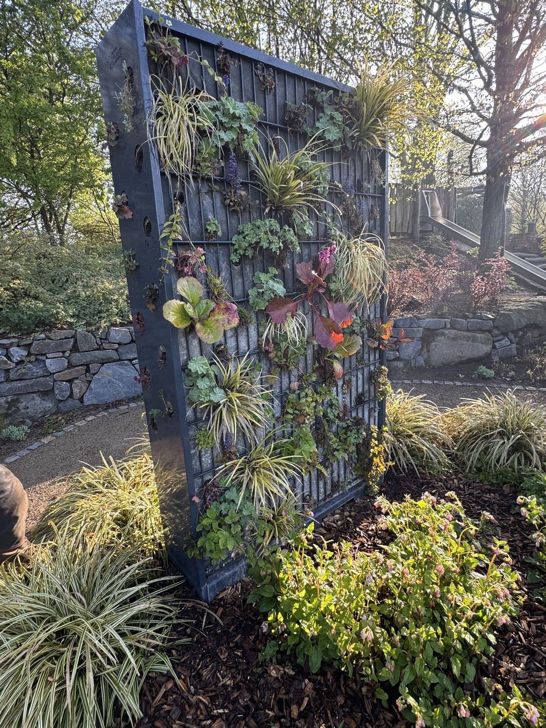 Bepflanzte Pflanzengabione als Sicht- und Schallschutz im Mustergarten 46 im Park der Gärten