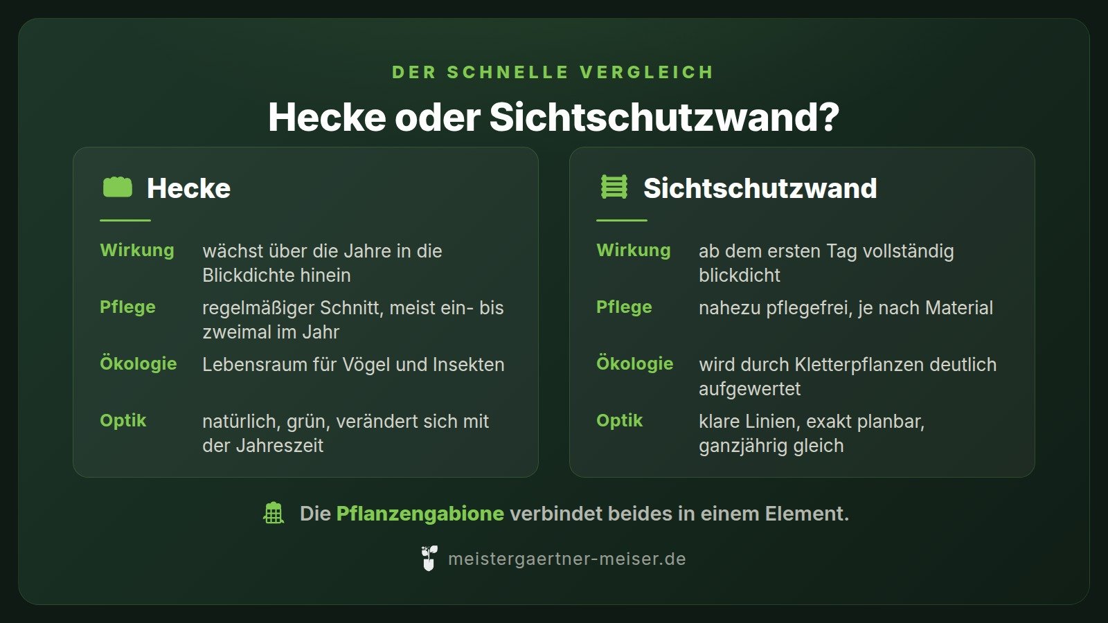 Vergleich Hecke und Sichtschutzwand: Wirkung, Pflege, Ökologie und Optik im Überblick