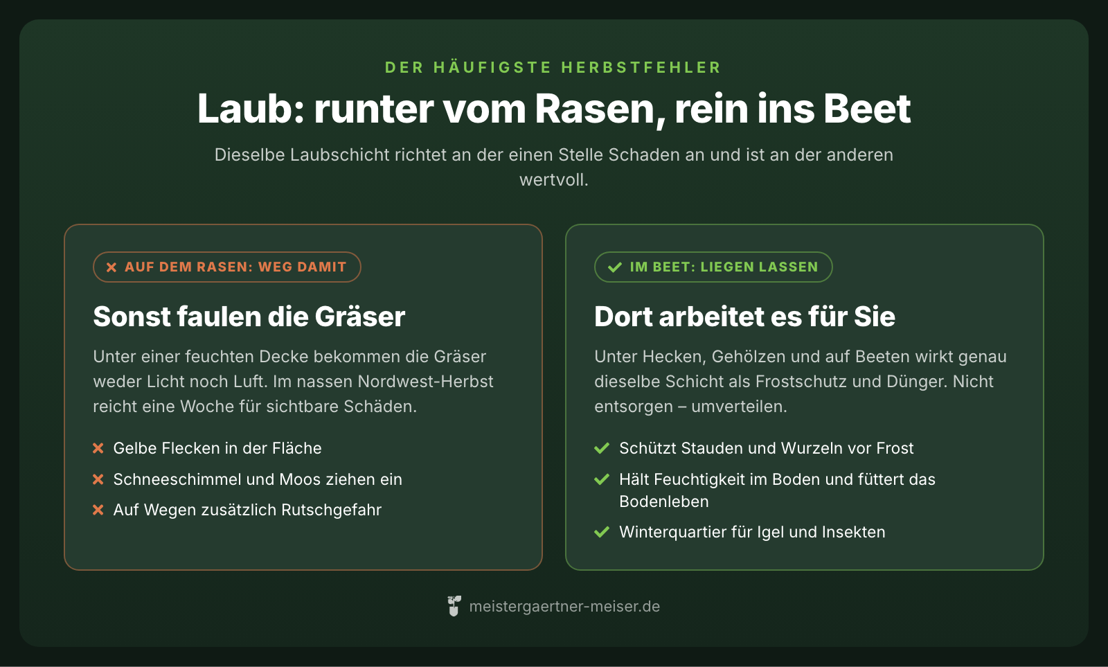 Laub auf dem Rasen schadet: gelbe Flecken, Schneeschimmel, Moos. Im Beet nützt dieselbe Schicht als Frostschutz, Dünger und Winterquartier.