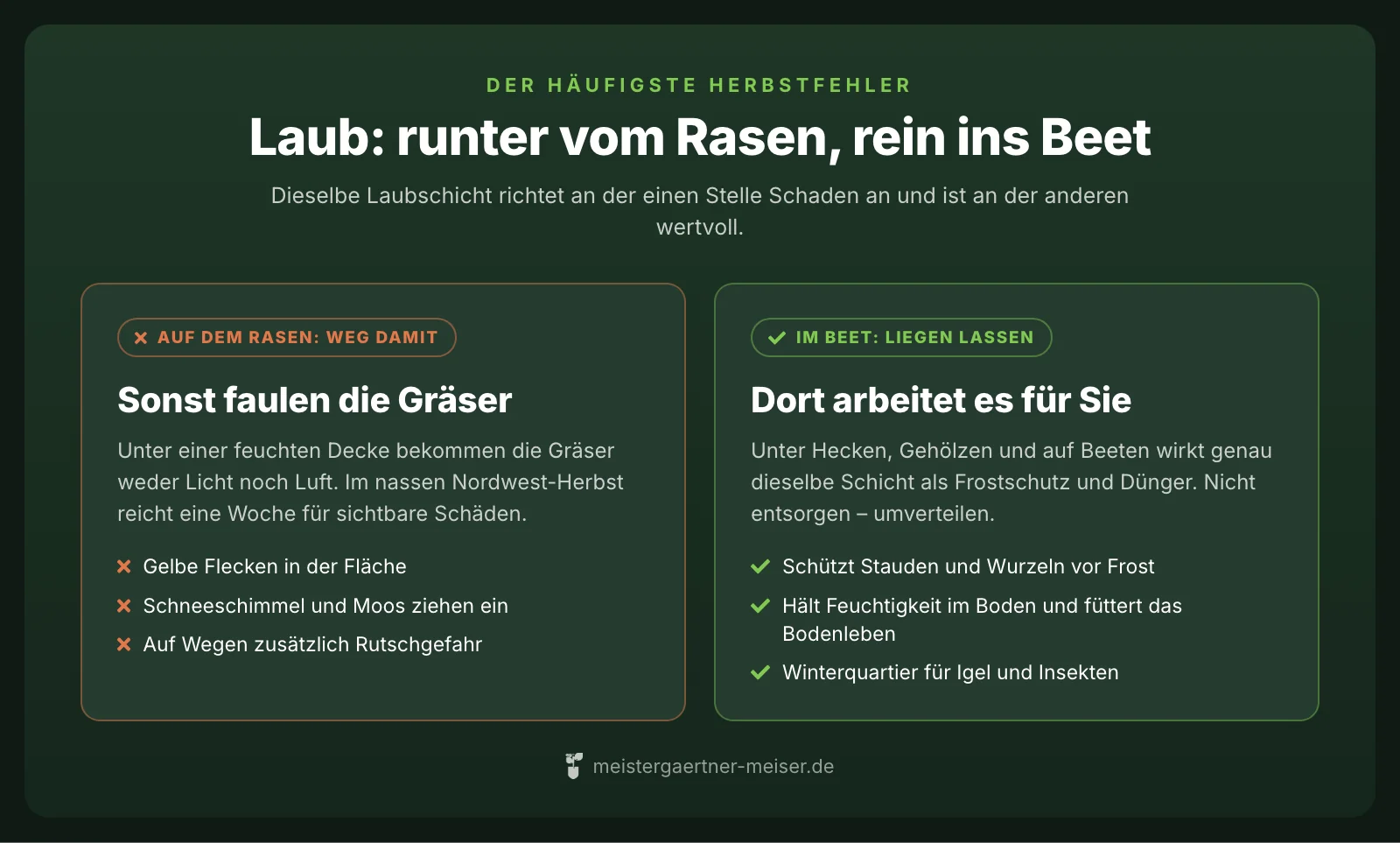 Laub auf dem Rasen schadet: gelbe Flecken, Schneeschimmel, Moos. Im Beet nützt dieselbe Schicht als Frostschutz, Dünger und Winterquartier.