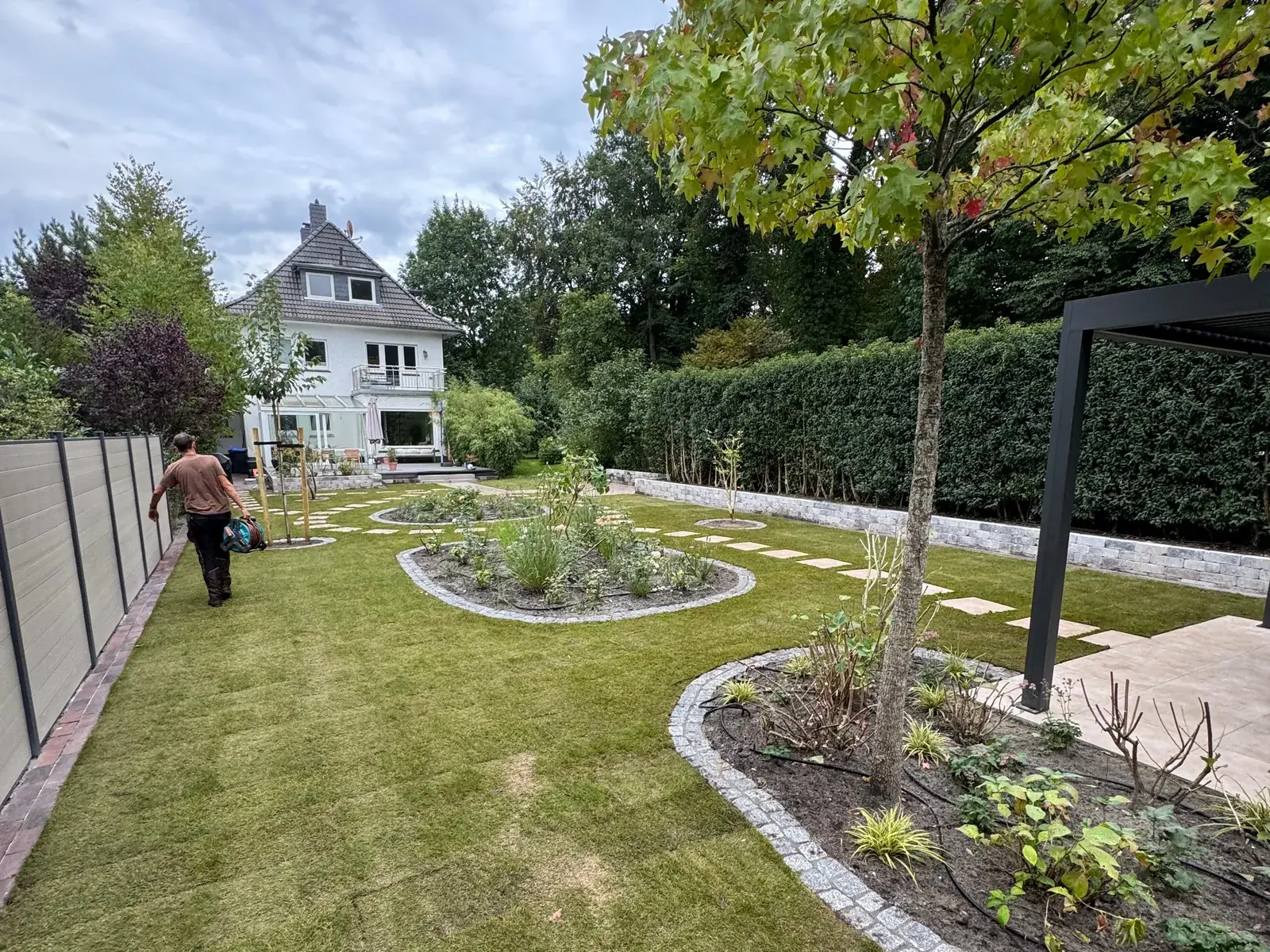 Junger Amberbaum in einem neu angelegten Garten mit Rasen, Beeten und Trittplatten in Oldenburg