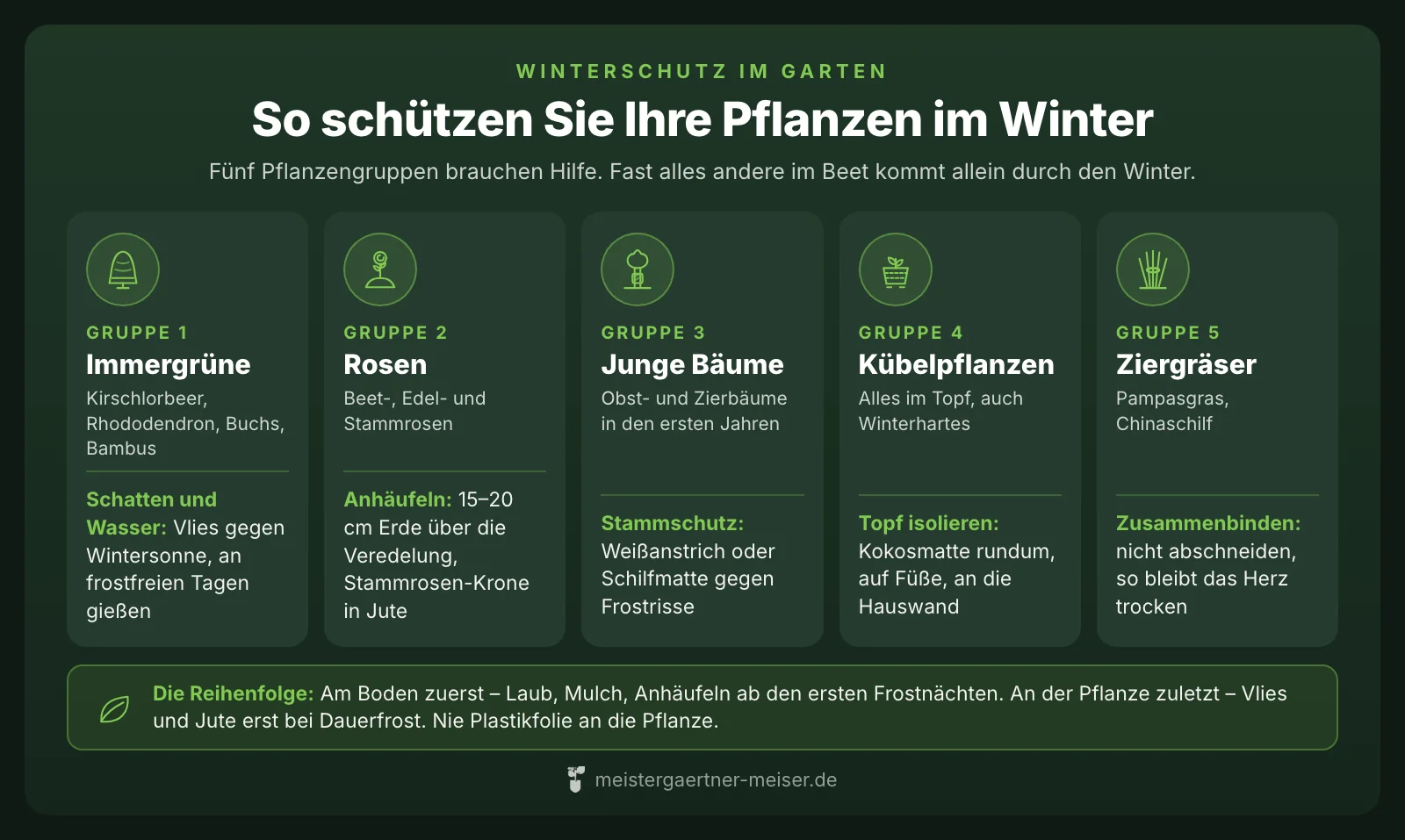 Übersicht Winterschutz: Immergrüne mit Vlies beschatten und gießen, Rosen anhäufeln, junge Bäume mit Weißanstrich schützen, Kübel isolieren, Ziergräser zusammenbinden